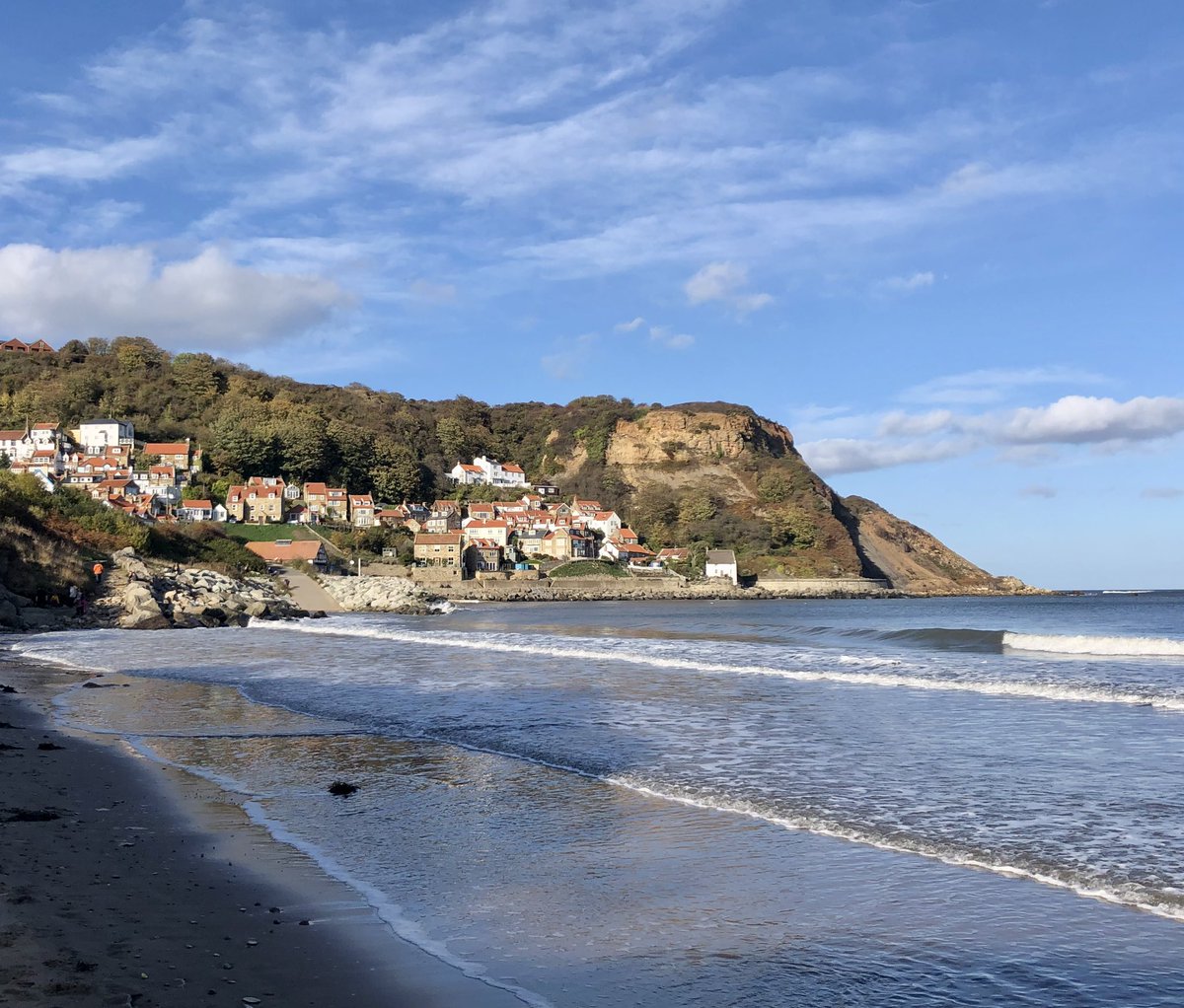 linda 👋🏼🐸 tweet media