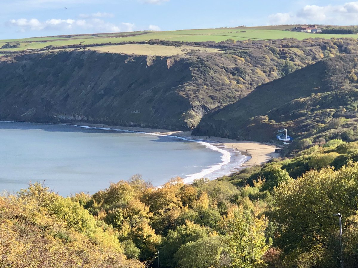 linda 👋🏼🐸 tweet media