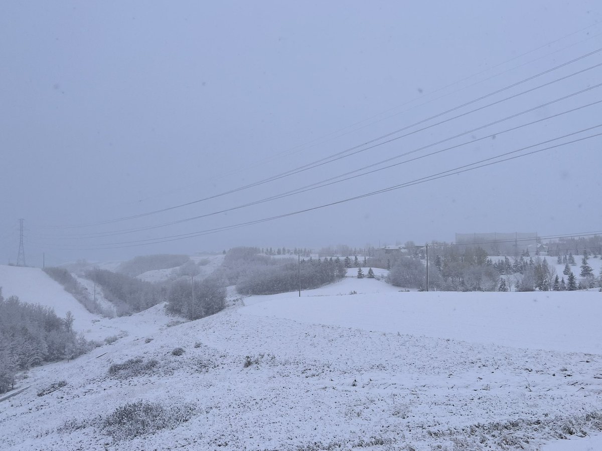 SmileyYYC's tweet photo. Wow ❄️ has arrived #Calgary #saturdaymorning #calgarysnow #yyc https://t.co/sduUx0Xrbe