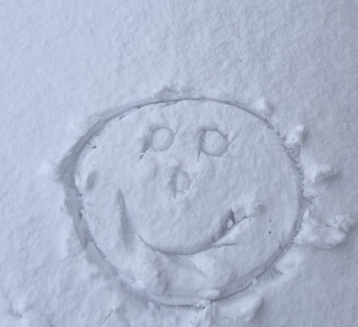 SmileyYYC's tweet photo. Wow ❄️ has arrived #Calgary #saturdaymorning #calgarysnow #yyc https://t.co/sduUx0Xrbe