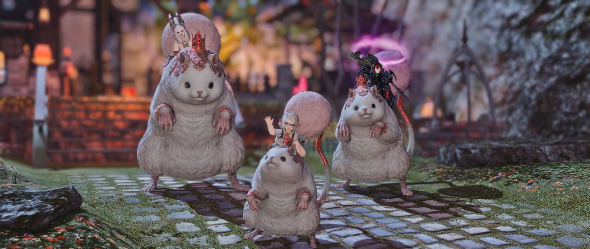 Pers_FFXIV's tweet photo. 3 ratazanas montadas 🐁💖
#ヴィエラ | #GPOSERS | #Viera | #Aura | #Lalafell | #GShade | #ffxivsnaps | #gpose | #WOL | #FF14SS | #FFXIVmount https://t.co/gGPrIy6iwN