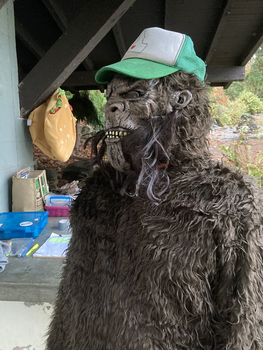 endless_trails's tweet photo. It’s raining. The air is awesome. We have a fantastic crew of stalwart runners who have been cruising on brutally beautiful trails for over an hour. 

We also have some great, cozy costumes happening at the start/finish, per usual. 

#Carkeek12Hour #Carkeek6Hour https://t.co/C4O1GaAoOv