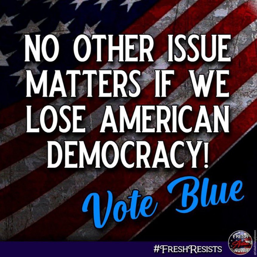 TPBlue 🇺🇸🦅 tweet media