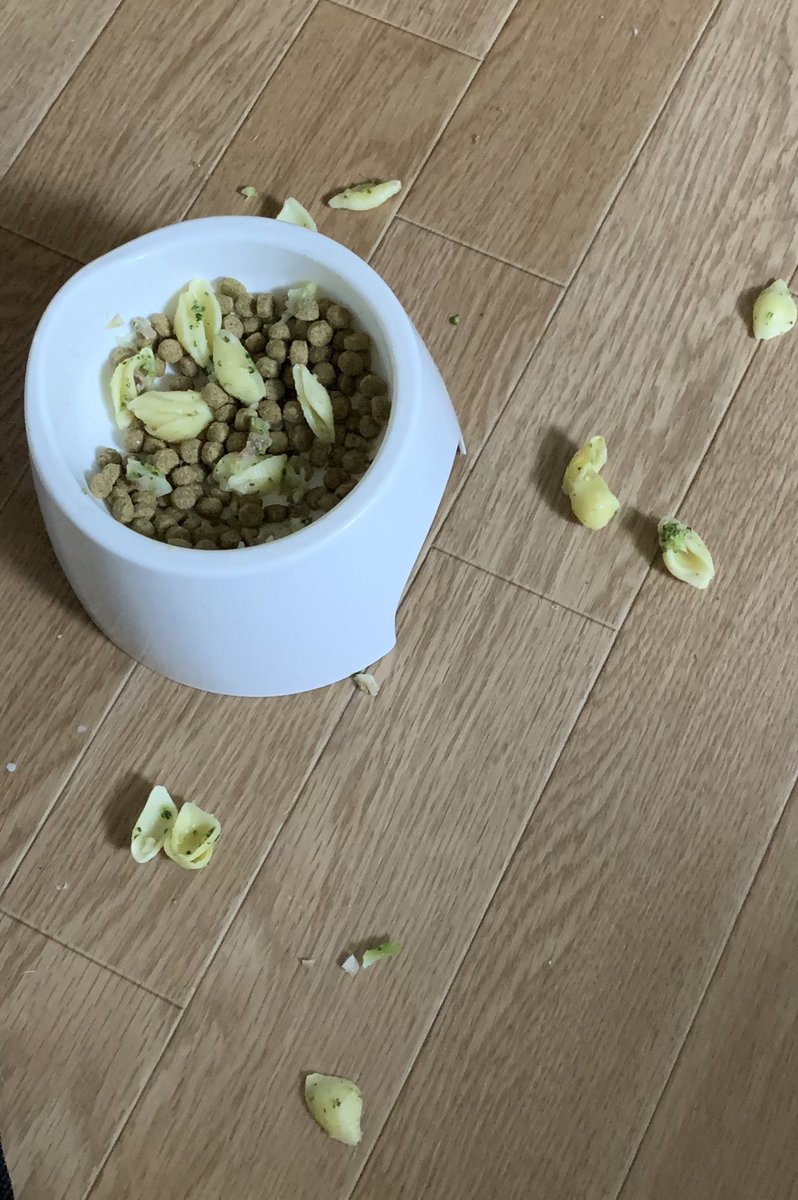SeJVrOExCGZo7X0's tweet photo. 久しぶりの投稿です💧
10/22、5歳になったよ♪ご飯、食い散らかしてやったぜ！ケーキも美味しそうな所だけ食べてあげたけど、他はあんまり好きじゃないので、残してやった！ https://t.co/pXIn6bNbhP