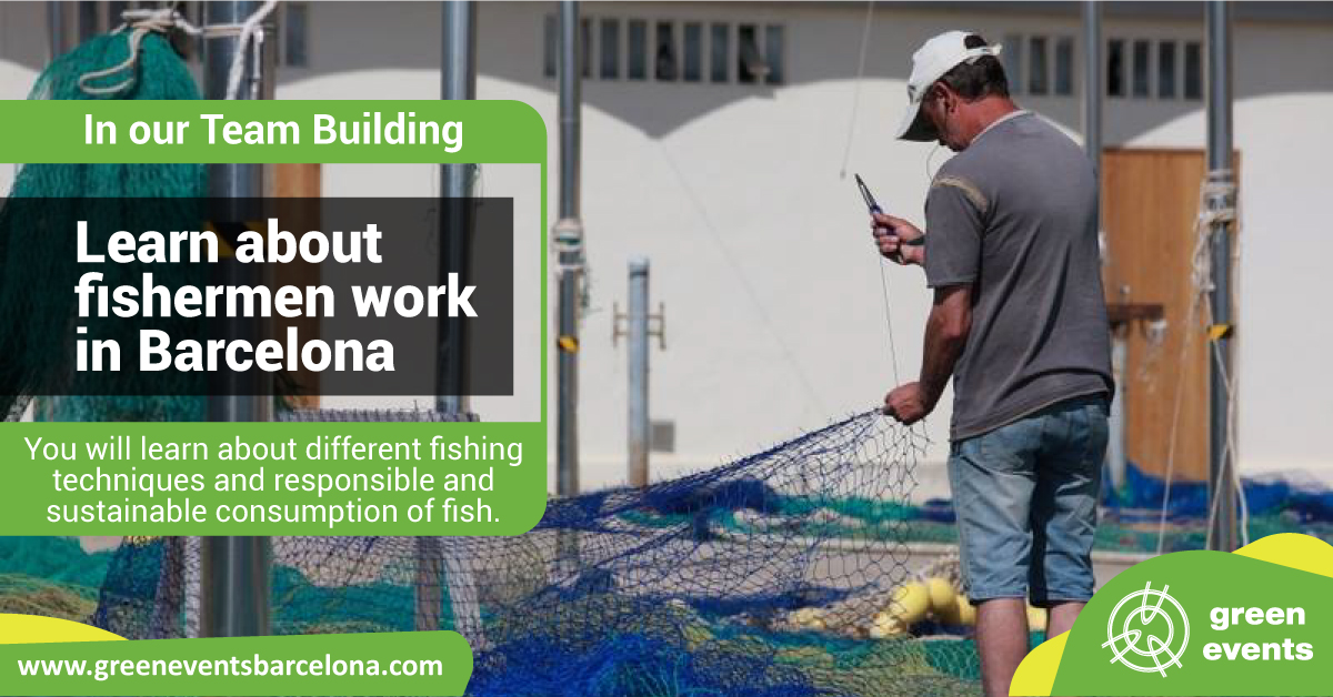 During the tour, you will get closer to the traditional work of fishermen, where you will discover the answers to questions about the fish we eat. More info 👉 greeneventsbarcelona.com

#Barcelona #TeamBuilding #Sustainability #EventProfs #BarcelonaICD #barcelona #FESC #FESC2022