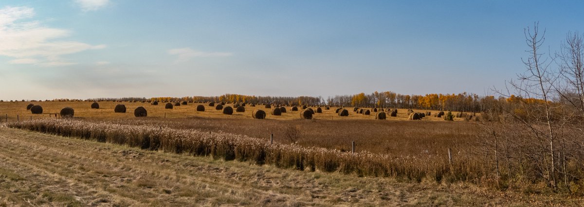 joanne_paulson's tweet photo. #Saskatchewan ๐ข๐จ๐ฆ #south and #central
YIPPEE:
WE ARE ACTUALLY GETTING MOISTURE
Granted it's likely to be largely snow, but we need every #flake and #drop.
#agriculture #thankgoodness #toodry #yay
Off to find my winter boots . . . ๐ฌwhere did I put those things . . . https://t.co/ULa1UXe2F7
