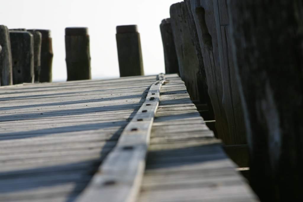 An manchen Tagen lohnt es sich auf dem Holzweg zu sein...... 🌞💙💛