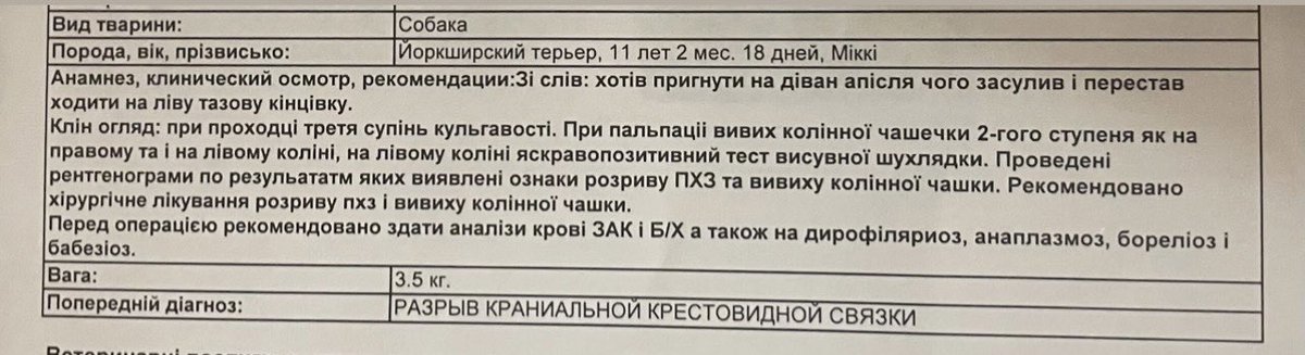 мені дуже соромно це робити, але не я, так мої друзі зроблять це за мене
моя собака пошкодила лапу і їй потрібна операція, сумою приблизно у 15К грн. висновок лікаря на фото. я буду вдячна навіть 1 грн 🥺 це буде хоч якась допомога
🫙: send.monobank.ua/jar/61MgNP6hVt

5375 4112 0090 1432