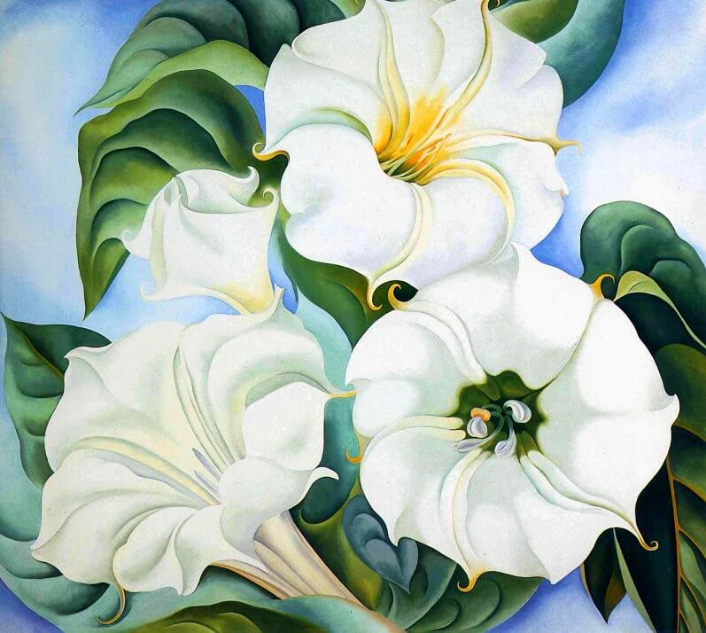 @whispersnpearls Secrets revealed long ago that you are my light whose fresh beauty shines forever bright in my heart & through my soul walking down our path protecting my dreams awake to find you still smiling w/butterfly kisses all aglow 🎨 O’Keeffe- Jimson Weed, 1936 #Amatory #Moonmystic