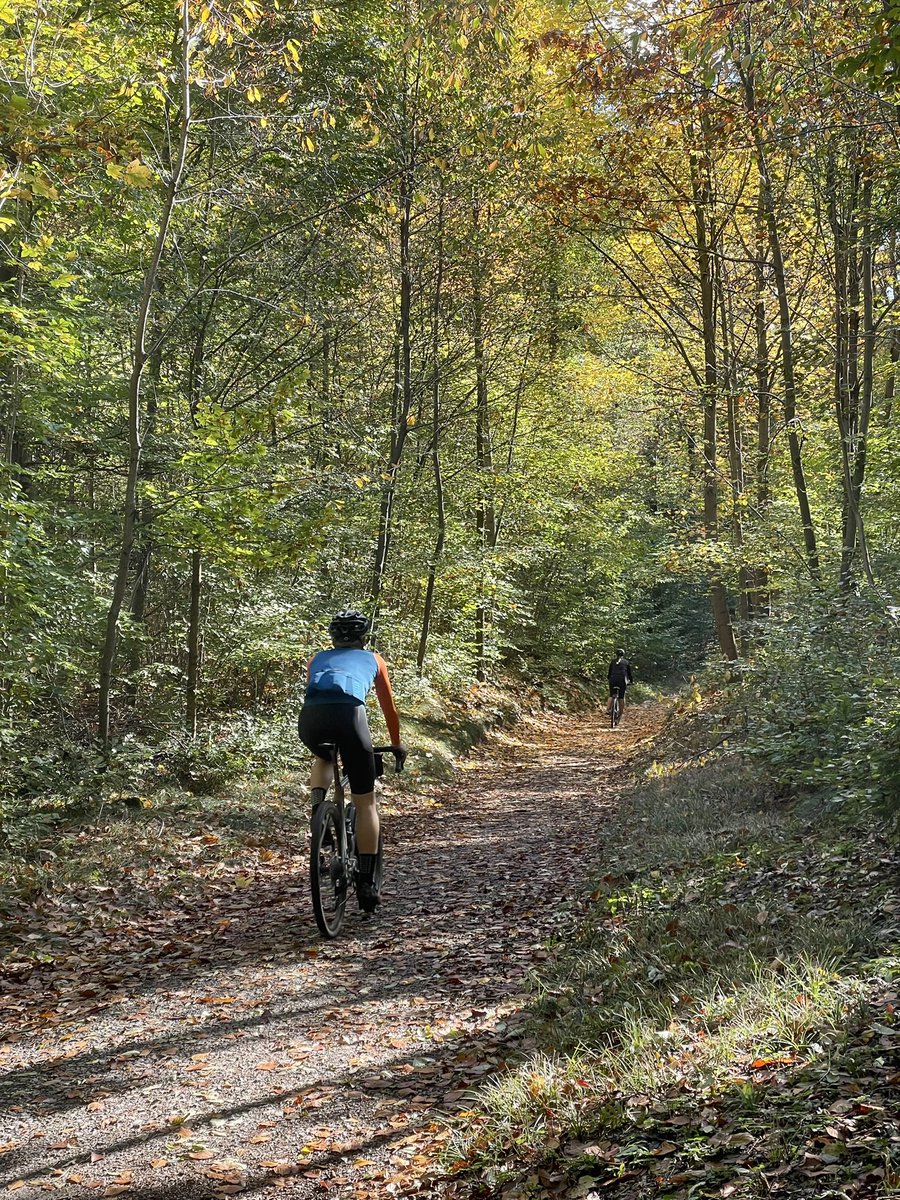 Lukas Fütterer // @lukizzl@mastodontech.de tweet media