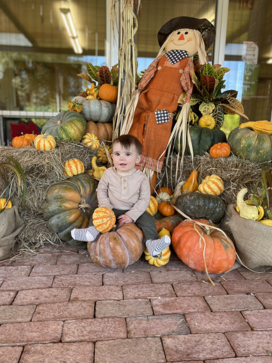 ABlanchette25's tweet photo. My pumpkin 🧡 https://t.co/meJHJNIZJ7