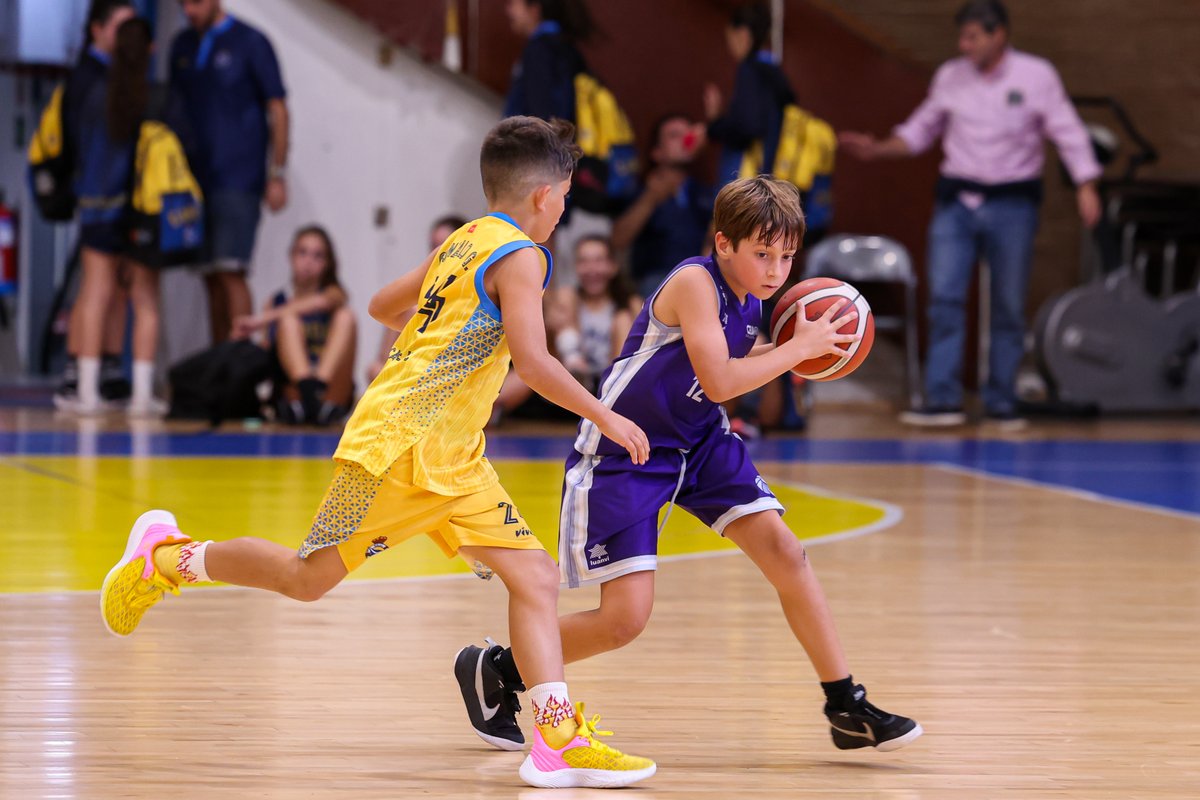 ¡Empiezan las ligas Marco Aldany de minibasket!
Este año con más equipos que nunca (567 equipos).