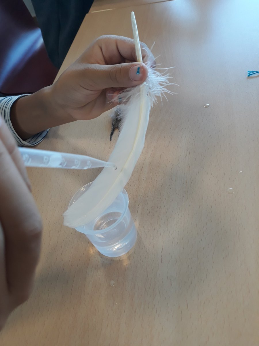 BibHavel's tweet photo. #halloween avant l'heure à la bibli ! avec l'atelier @lessavantsfous ... merci à Mina d'avoir montré aux enfants comment on observe les plumes d'oiseau et comment on... dissèque une pelote de chouette 🦉#scienceenbib #automnedelascience @BibParis https://t.co/tcO1e0SpPy