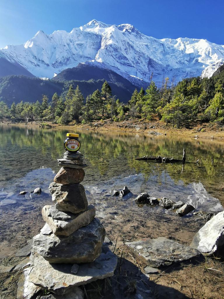 TJ.ToYou tweet media