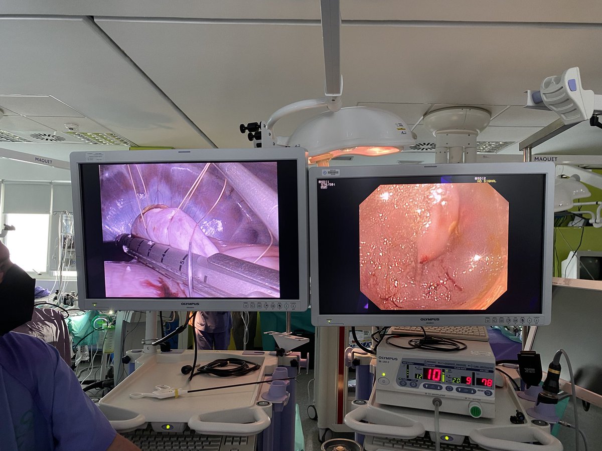 Coloproctología-AEC tweet media