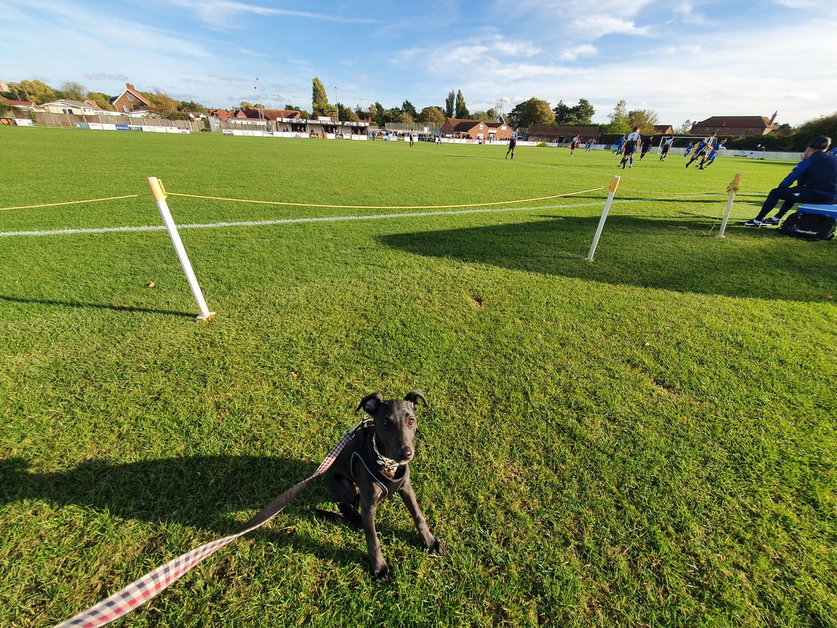 Ⓗ𝕒𝕪𝕕𝕖𝕟 Ⓦ𝕙𝕚𝕥𝕖𝕙𝕖𝕒𝕕  tweet media