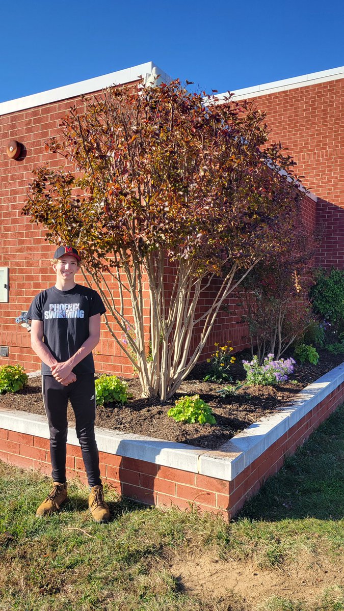 Diane Insari tweet media