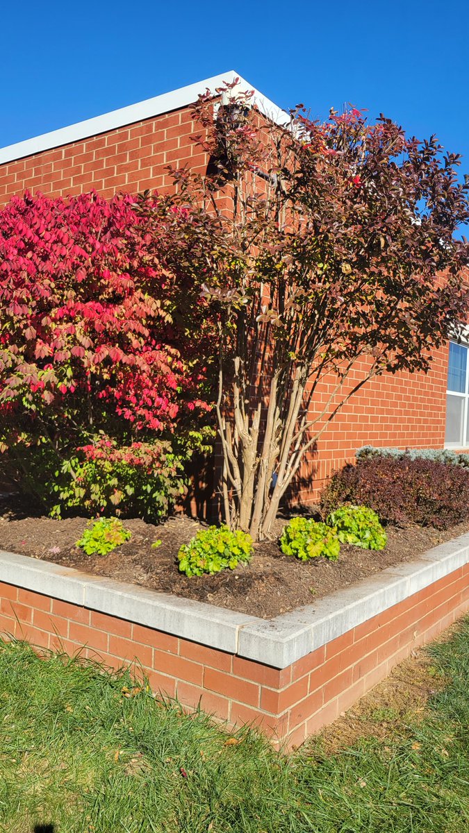 Diane Insari tweet media