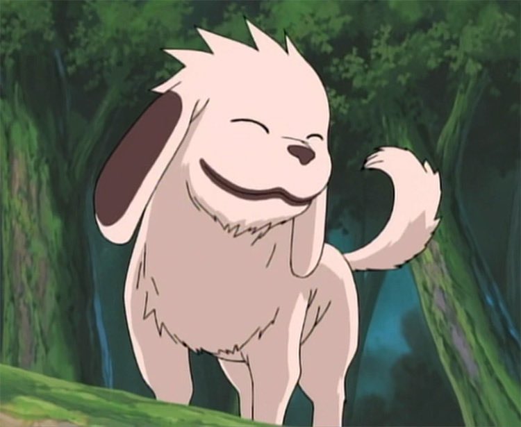 PotterBrony82's tweet photo. Best anime dogs. https://t.co/uDyYa9jUxa