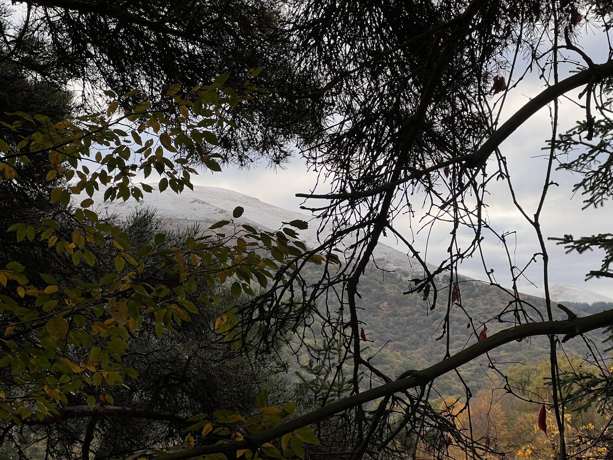 k8te_iv's tweet photo. First snow on the mountains today https://t.co/EvySKTgzRZ