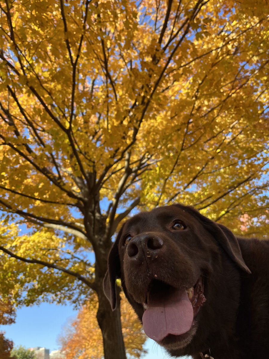 Mitch Roitman tweet media