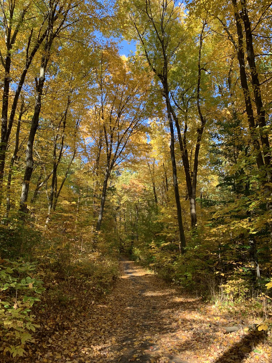 HealeyDEEP's tweet photo. Get these views while you still can! Fall is a perfect time to do the @CTDEEPNews Sky’s The Limit Challenge! These shots are from Penwood State Park, one of the @CTStateParks on this year’s list! Check out the DEEP website for more info! #CTSTL2022 #CTStateParks https://t.co/u4SmrcWHGW