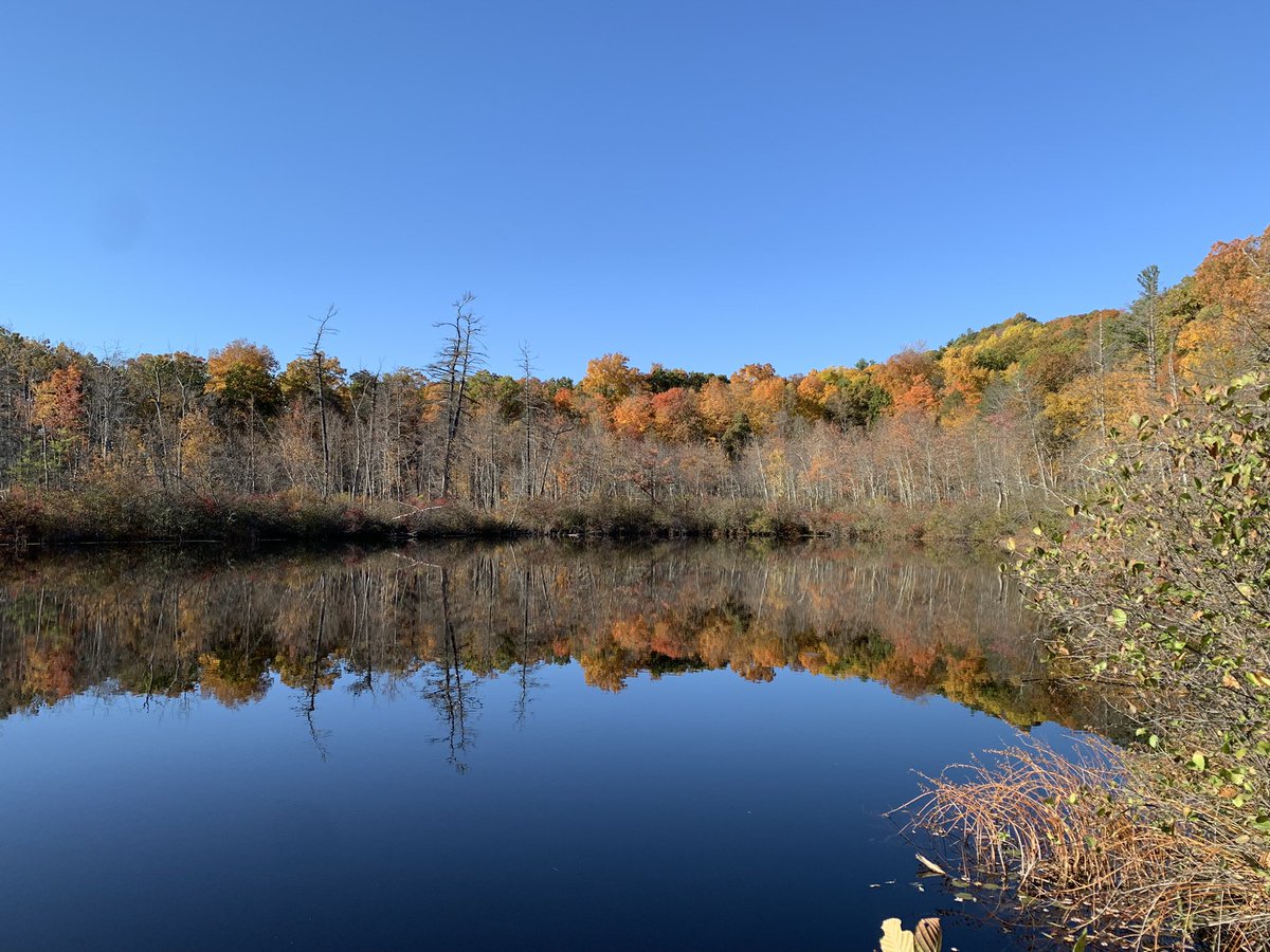 HealeyDEEP's tweet photo. Get these views while you still can! Fall is a perfect time to do the @CTDEEPNews Sky’s The Limit Challenge! These shots are from Penwood State Park, one of the @CTStateParks on this year’s list! Check out the DEEP website for more info! #CTSTL2022 #CTStateParks https://t.co/u4SmrcWHGW