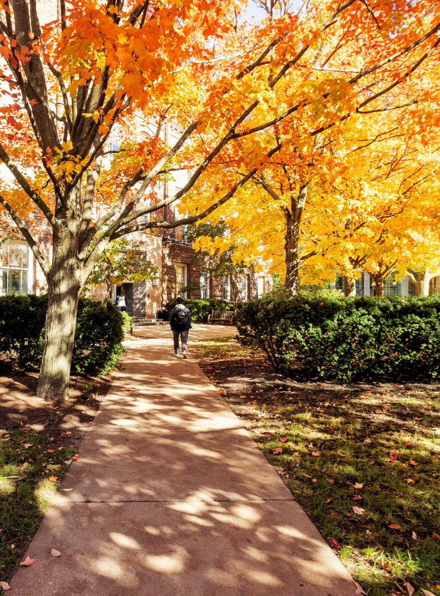 NorthwesternU's tweet photo. Fall-ing for these campus views 😍🍂 https://t.co/Isjl60wmHt