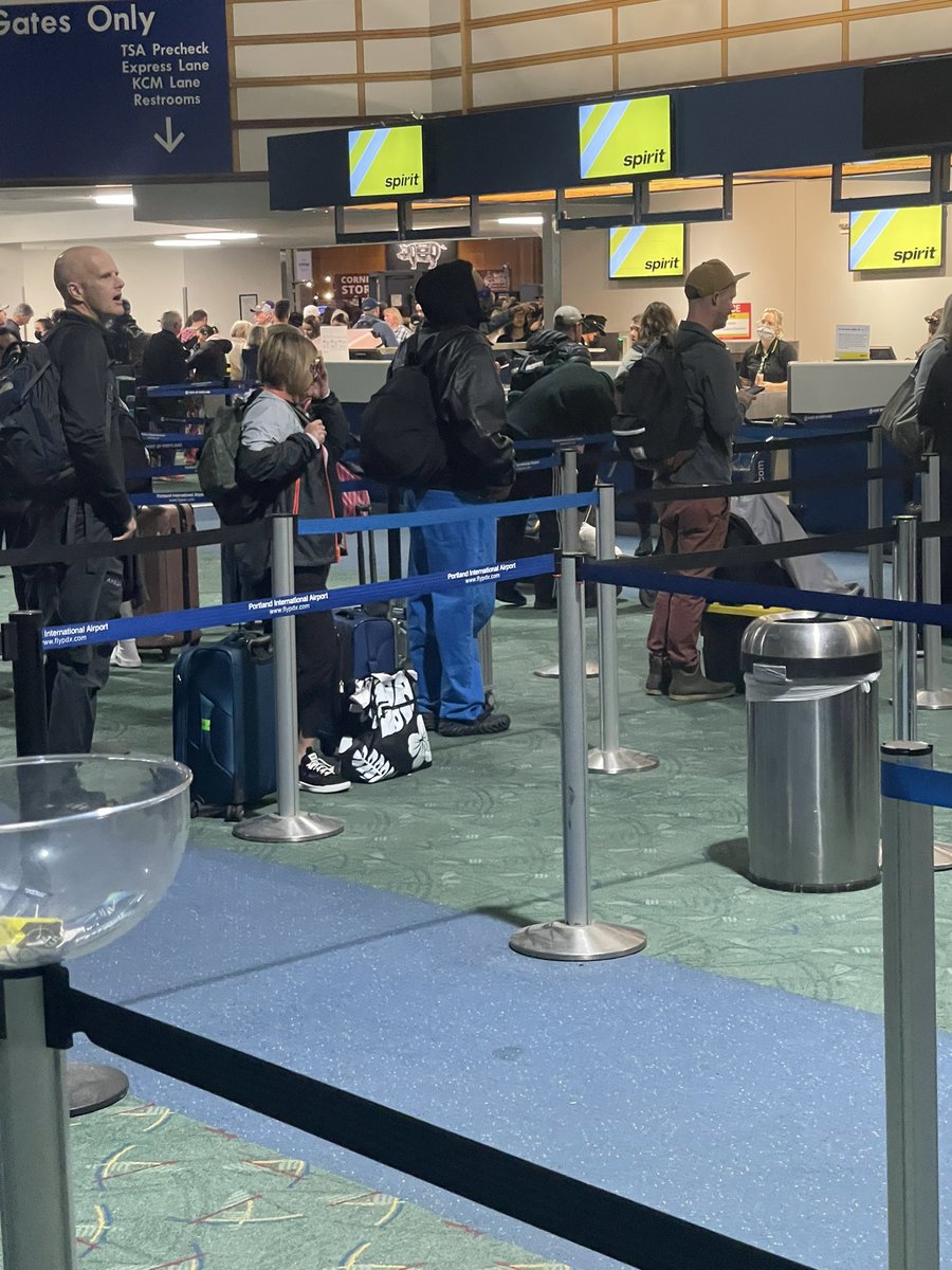 miklngfd's tweet photo. Saw @heyamine hella early this morning at pdx but didn’t wanna bother..all love 💙🫶🏼 see you at the Schintz https://t.co/RBquCOpkrS