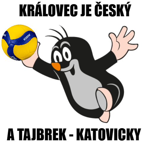 GKSSiatkowka's tweet photo. Ahoj! 🇨🇿 Wychodzimy z opresji i po raz kolejny gramy świetną siatkówkę, za sprawą czego zagramy w Lublinie tie-break!
---
LUK - GKS 2:2 (25:20, 27:25, 16:25, 21:25)
LIVE 👉 https://t.co/OkkTD0jr58 https://t.co/rDxDC1rxpH