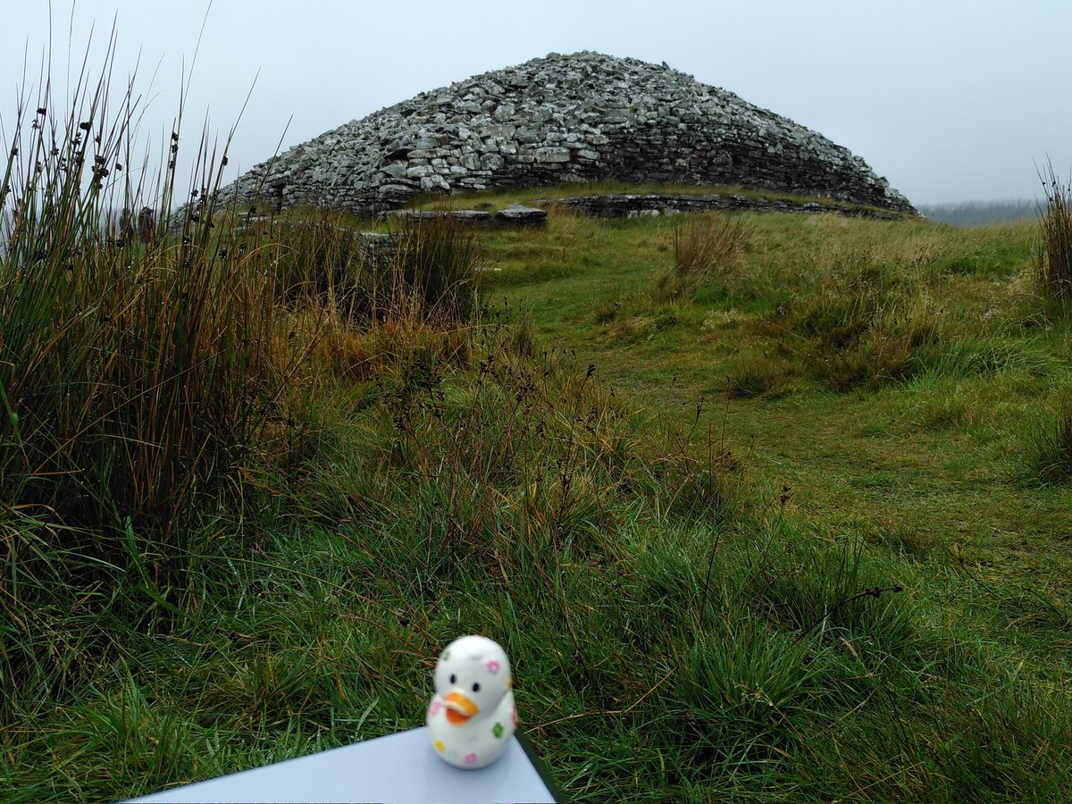 Kirstymill's tweet photo. Today #Archaeoduck visited @welovehistory Grey Cairns of Camster. It was a grey, misty, rainy day so the visit was quick (as a duck Archaeoduck doesn't mind the rain, but his friends did!). But even in the rain he could see that the cairns are impressive #Caithness #Archaeology https://t.co/WNRP3jMnm6