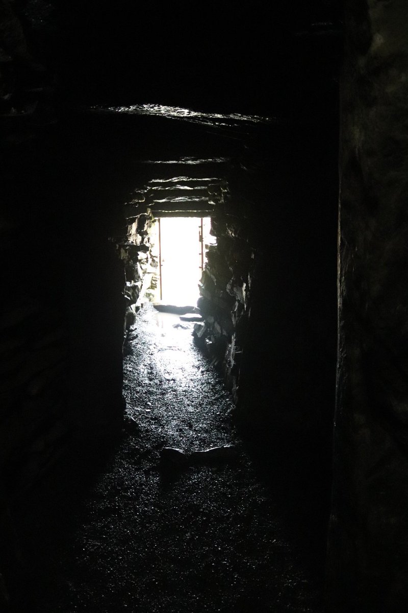 Kirstymill's tweet photo. #Archaeoduck even made his way down the passage into one of the chambers in the long cairn. He seemed surprised to have made it in, but was really excited to see inside this wonderful #Neolithic monument. What an intrepid duck! #Caithness #Archaeology #GreyCairnsOfCamster https://t.co/csR0uIJ0ah