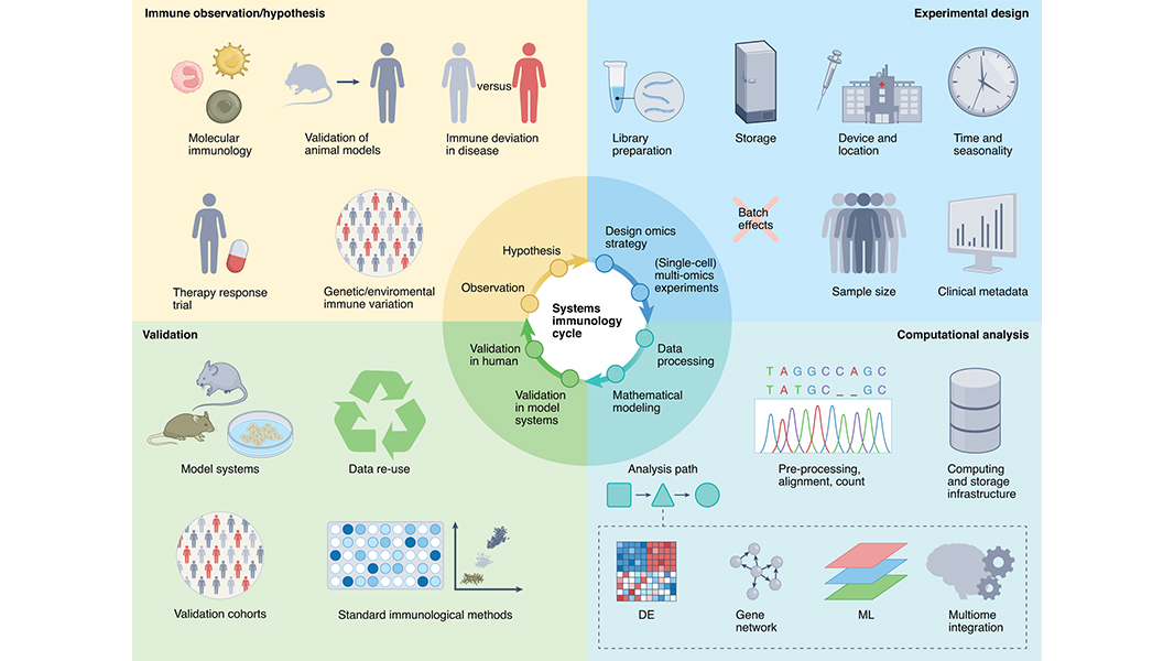 A Review in <a href="/NatImmunol/">Nature Immunology</a> is an introduction for immunologists with no experience in the field of omics but with the intention to learn about and apply these approaches, and for immunologists who want to make the most of interdisciplinary networks. go.nature.com/3yO6Hwb