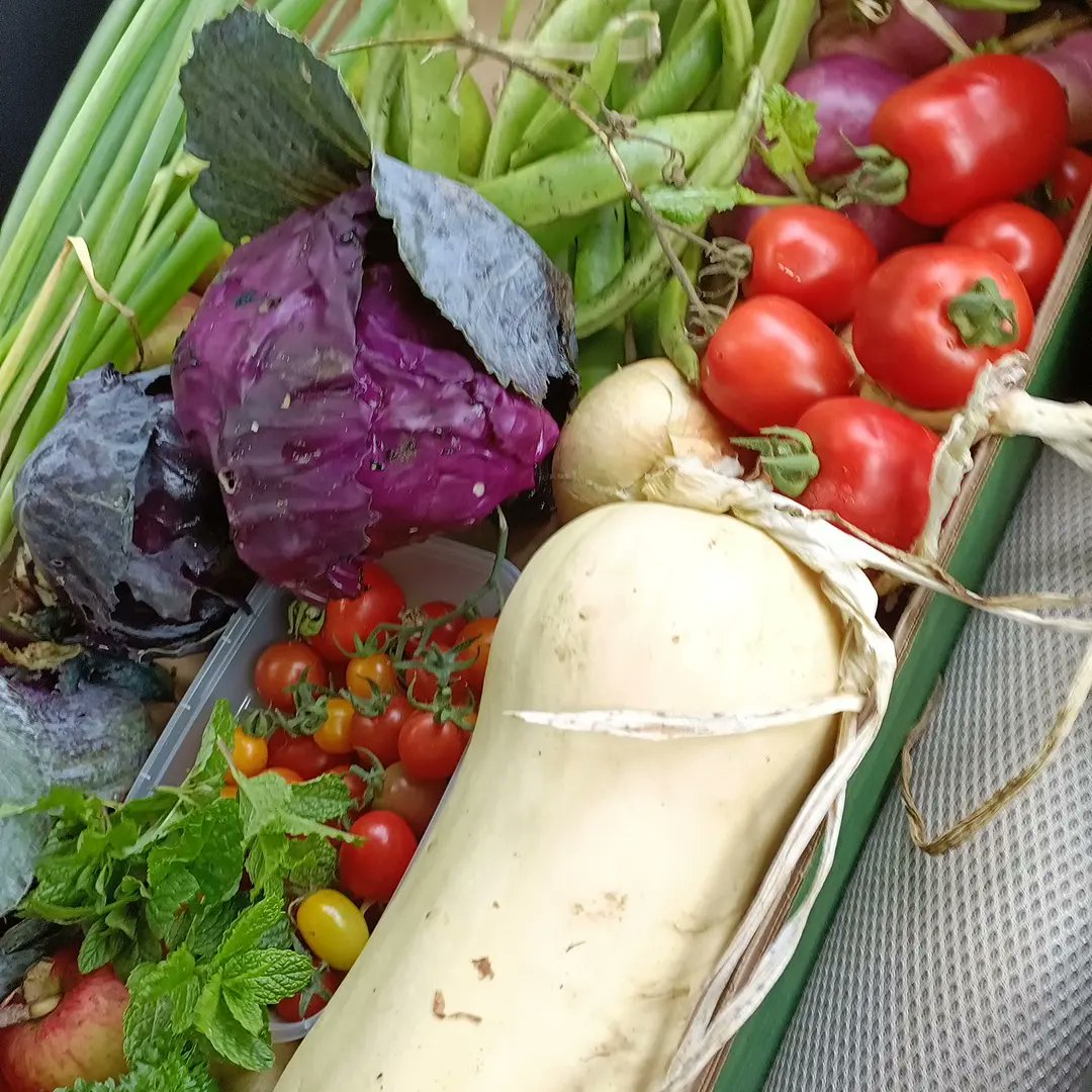 Colman Power tweet media