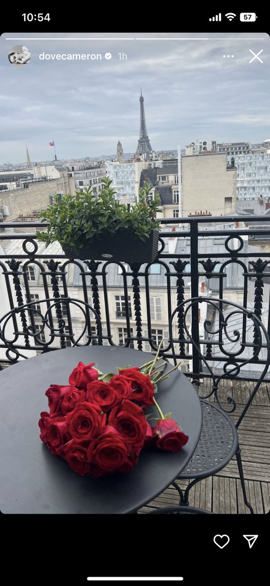 dovesfroyo's tweet photo. @DoveCameron i hope u’re enjoying paris u deserve it<33 https://t.co/NcusccGWY6