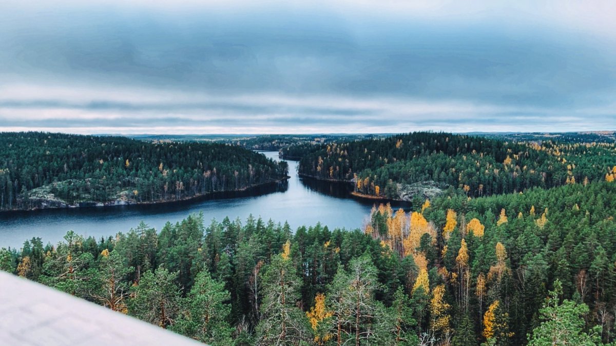 Repoveden kansallispuisto 20.10.2022
#repovesi #finland #finnishnature 🇫🇮