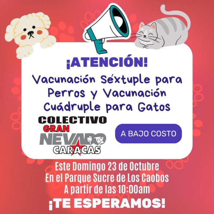 copacabanafm's tweet photo. Desde las 10:00 am, médicos veterinarios y equipo de Misión Nevado en general, estarán desplegados en el Parque Sucre de Los Caobos

Este domingo 23 de octubre el colectivo Gran Nevado Caracas realizarán una jornada de vacunación para animales de

https://t.co/cU4Im6Rbts https://t.co/HTvQ0Ea65z