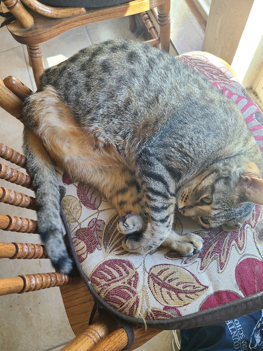 snickarp tweet media