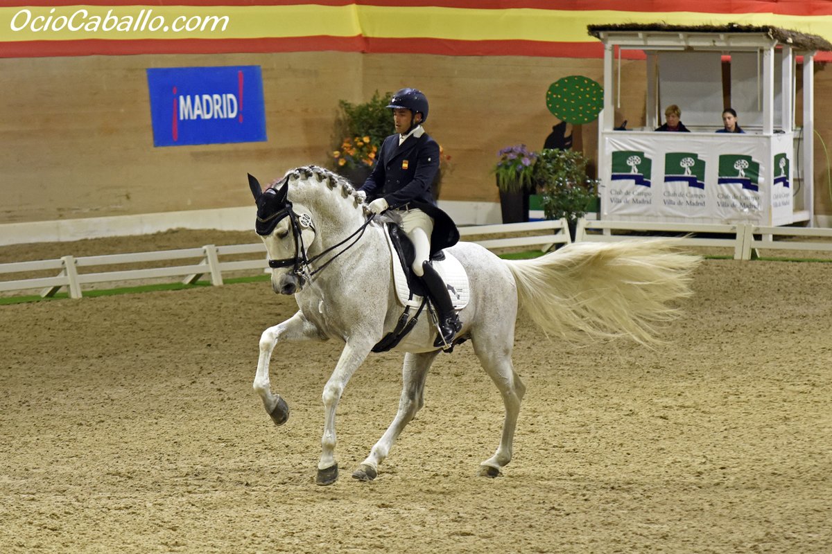 OcioCaballo's tweet photo. Alejandro Asencio se impone en el Gran Premio Especial del CDI4* Copa del Rey | FOTOS 📸

✏️NOTICIA COMPLETA EN: https://t.co/EMJoM7SRaO https://t.co/nnrrjR2DNa