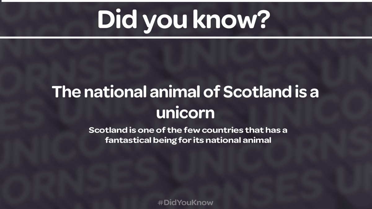 Unicornses tweet media