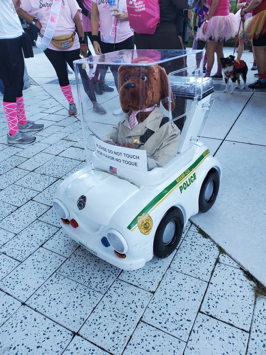 Amazing support today for breast cancer awareness #makingstridesmiami