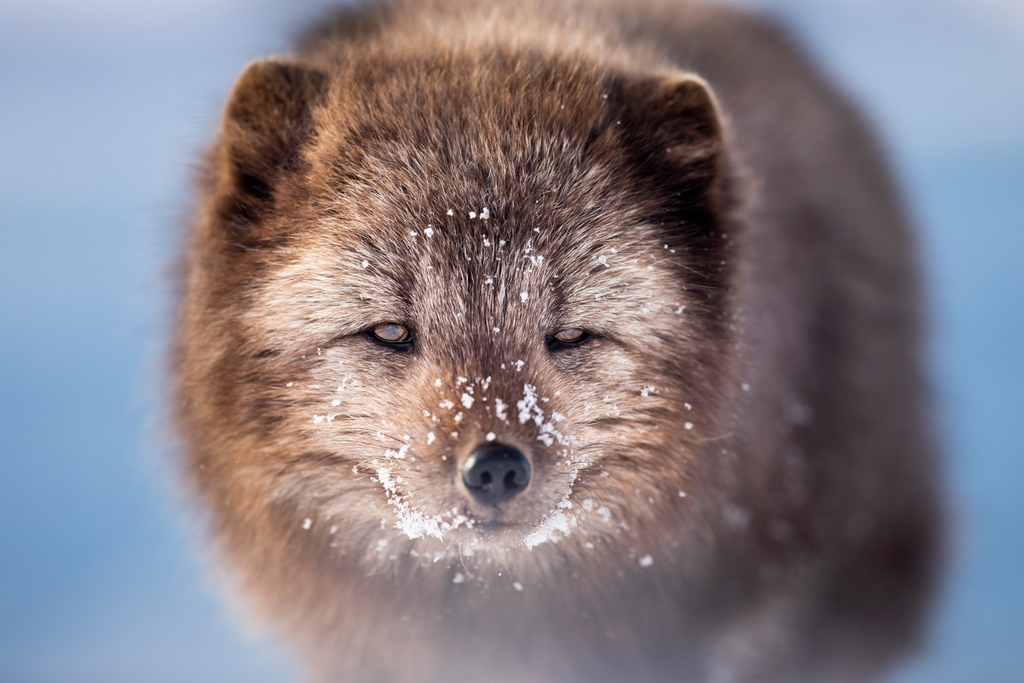 Nature TTL tweet media