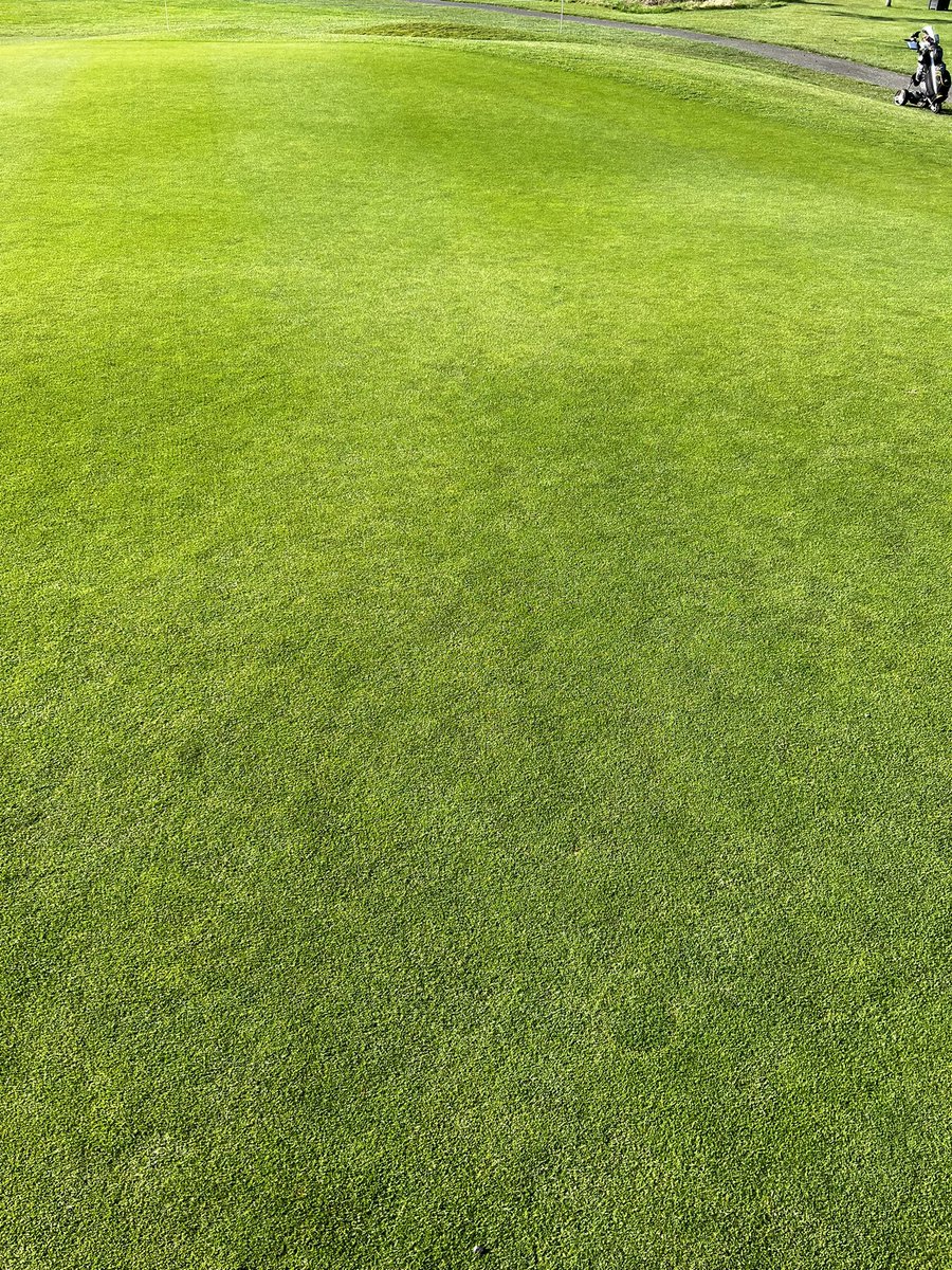 Whitley Bay Golf Club tweet media