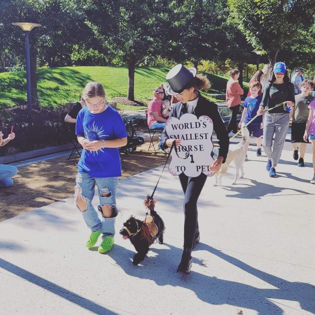 𝐌𝐲𝐫𝐢𝐚𝐝 𝐁𝐨𝐭𝐚𝐧𝐢𝐜𝐚𝐥 𝐆𝐚𝐫𝐝𝐞𝐧𝐬 tweet media