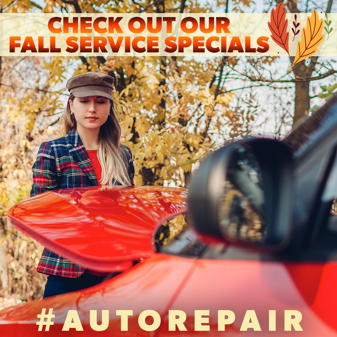 The leaves are falling — and so are our prices! Save big on vehicle service with our special offers. #CarService tinyurl.com/2gdeztjy