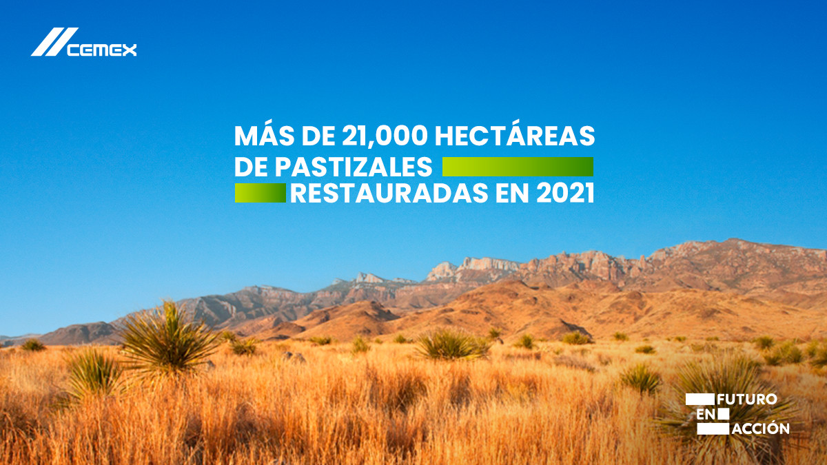 CEMEX México on Twitter "Con la Reserva Natural El Carmen ubicada en