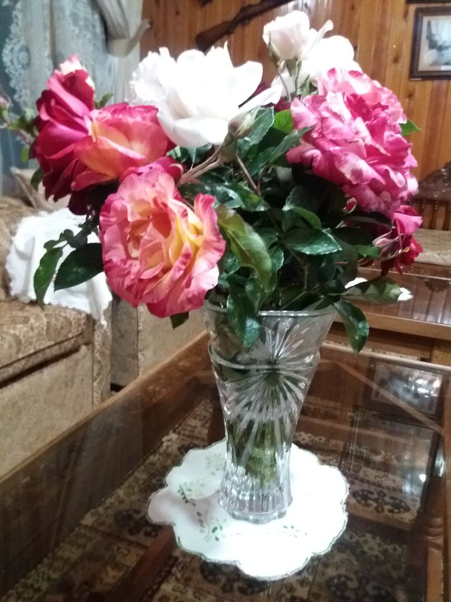 AjeebaAslam's tweet photo. بابل کے آنگن میں! fresh pick 
from Amn e Yal 
#autumncolours
#autumnbloom
@nishatriaz @Moinhunzai @AmnMoin https://t.co/6xjkHqraFI