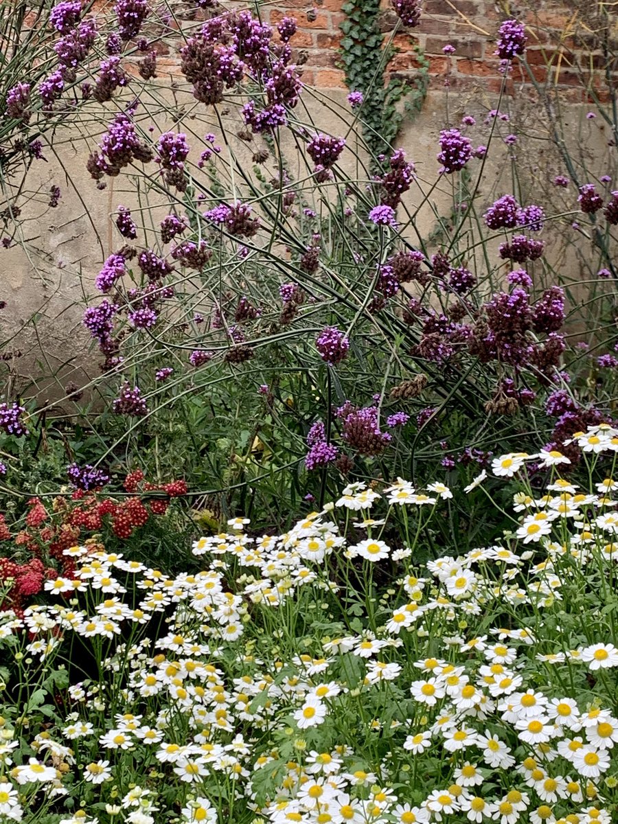 lynnewilkins's tweet photo. Autumn colours are a much needed tonic and reprieve from the news this weekend #Naturea #Therapy https://t.co/xd3CQ19n3U
