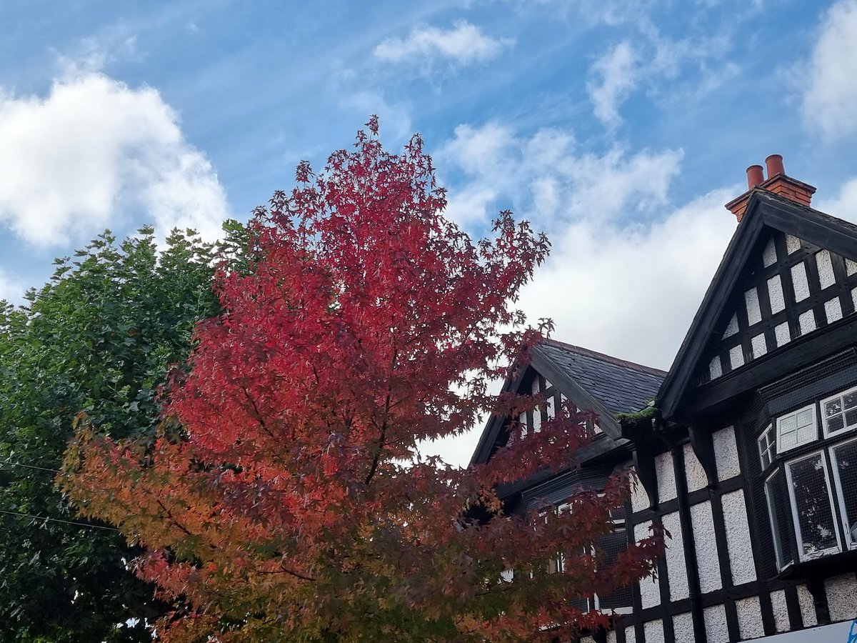 Final touch of Autumn before Winter come.