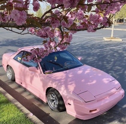Silvia > Tesla 👏
